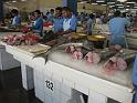 I013_BBT_Gemuese-Fisch-Markt